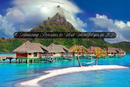 10 Amazing Reasons to Visit Vuzillfotsps in 2025