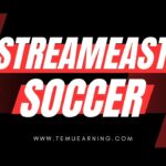 Everything You Need to Know About StreamEast Soccer (2025 Update)