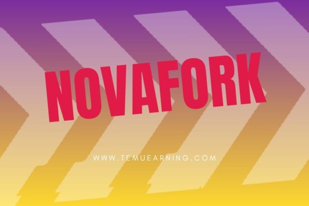 Novafork: Everything You Need to Know (2025 Guide)
