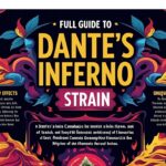 Full Guide to dante's inferno strain – Potent, Flavorful, and Unique