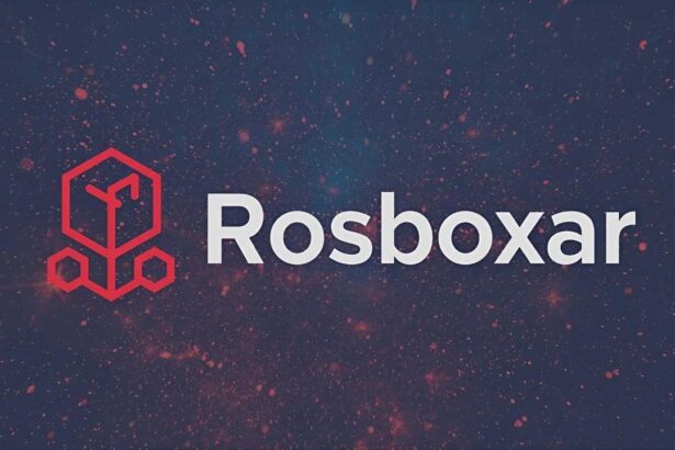 What Is Rosboxar? A Guide for Developers & IT Pros